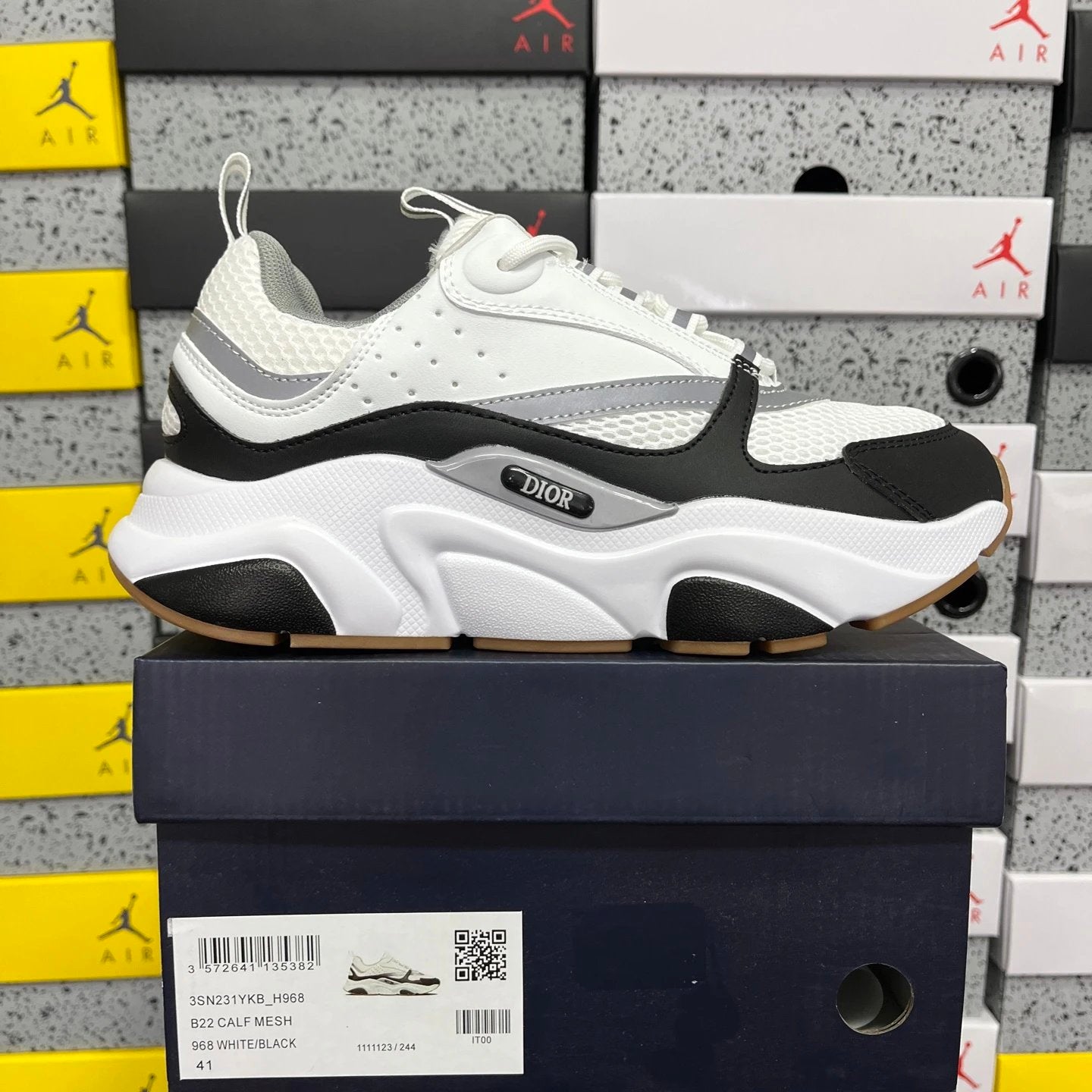 Dior - B22