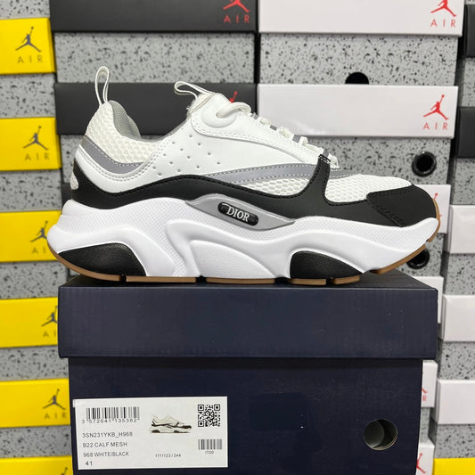 Dior - B22